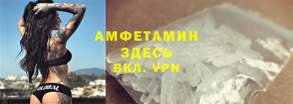 гидра Коряжма