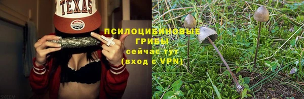 круглые Корсаков