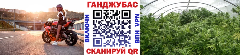 блэк спрут   Лангепас  Бошки марихуана марихуана  наркота 